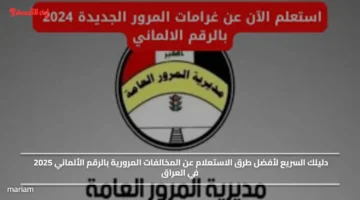 دليلك السريع لأفضل طرق الاستعلام عن المخالفات المرورية بالرقم الألماني 2025 في العراق